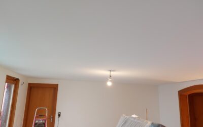 „aus alt macht neu“   Alte Holzdecken neu bespannt weiss matt