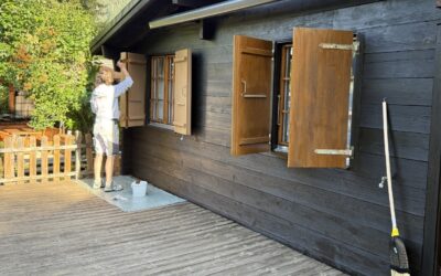 Renovation Naturholz-Fassade